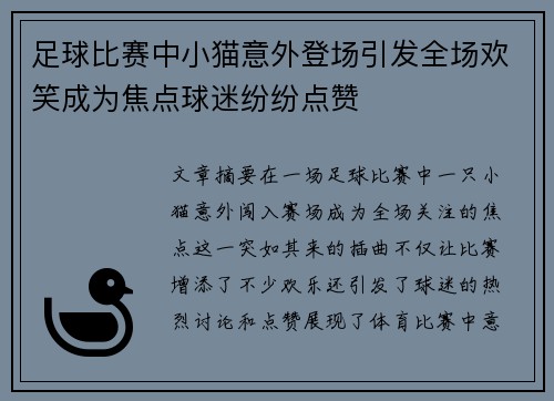 足球比赛中小猫意外登场引发全场欢笑成为焦点球迷纷纷点赞
