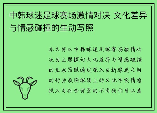 中韩球迷足球赛场激情对决 文化差异与情感碰撞的生动写照