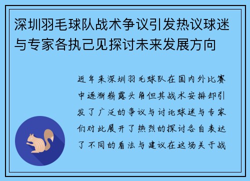 深圳羽毛球队战术争议引发热议球迷与专家各执己见探讨未来发展方向