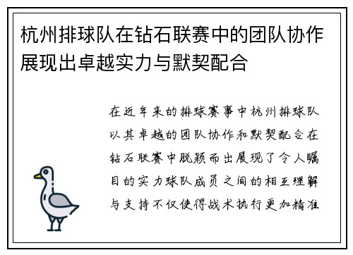 杭州排球队在钻石联赛中的团队协作展现出卓越实力与默契配合